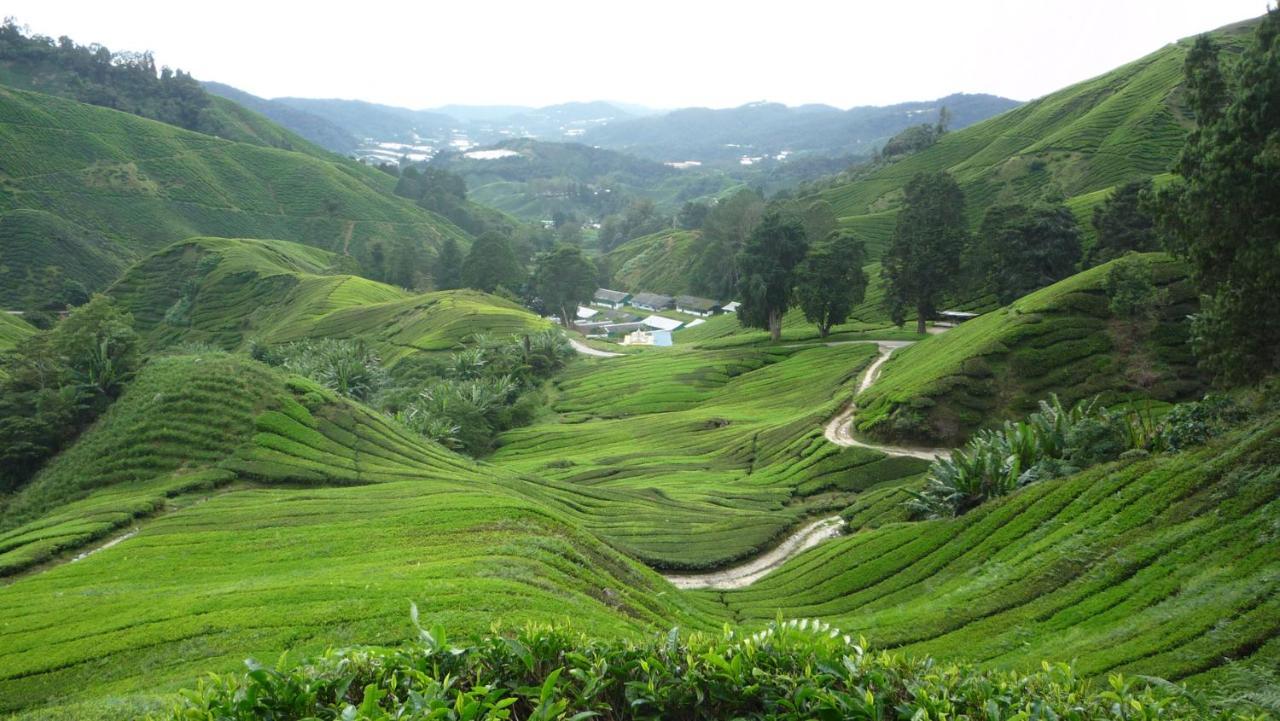 The Quintet Cameron Highlands By Tulip Tanah Rata Kültér fotó